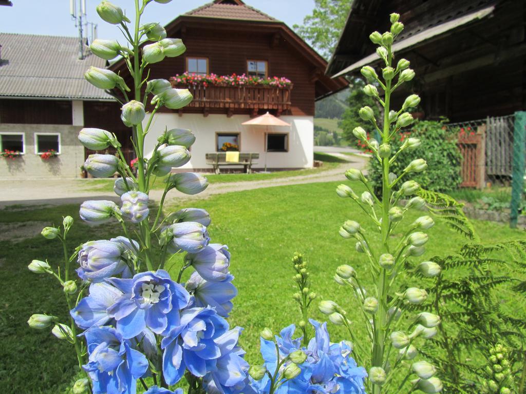 Der Hoferbauer Apartment Bad Kleinkirchheim Exterior foto